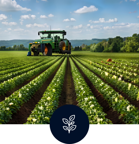 Sector agroindustria - implementación de SAP Business One para gestión agrícola