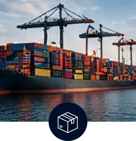 Sector importadoras - implementación de SAP Business One para comercio internacional