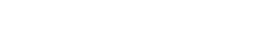 MASSIVE - Consultoría y Desarrollo SAP Business One