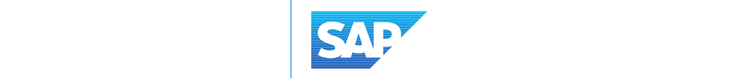 MASSIVE - Consultoría y Desarrollo SAP Business One